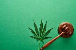 cannabis plant next to a gavel